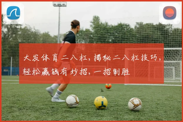大发体育二八杠,揭秘二八杠技巧,轻松赢钱有妙招,一招制胜