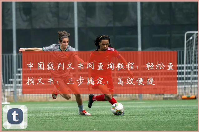 中国裁判文书网查询教程，轻松查找文书，三步搞定，高效便捷