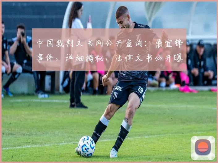 中国裁判文书网公开查询：鼎宜锋事件，详细揭秘，法律文书公开曝光三宗罪